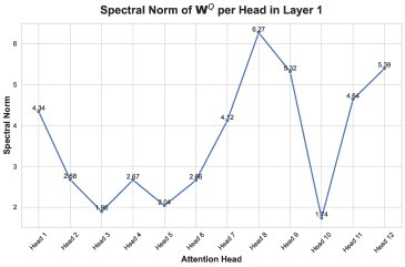 abnormal spectral norm of a specific attention head